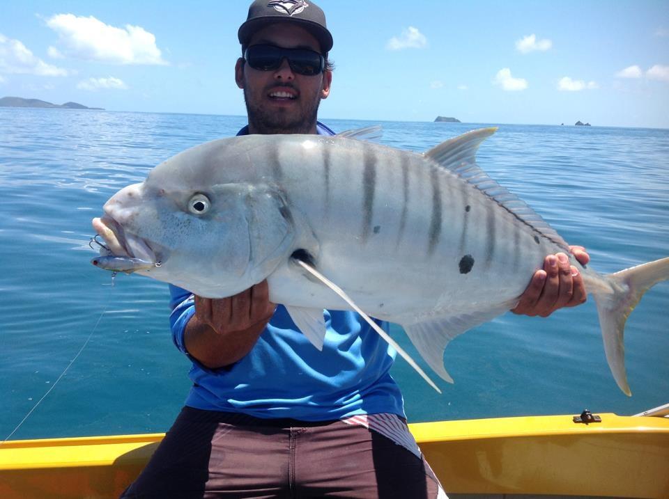 6 INCH HOLLOW SHAD CRAZY MULLET