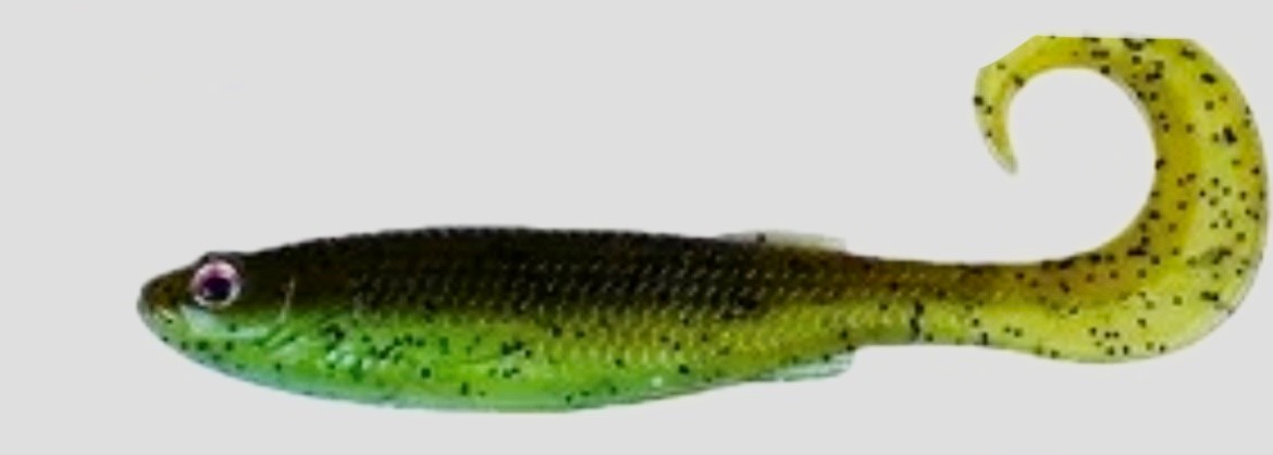 SHADS 3 INCH MULLET GRUBS GREEN SHAD